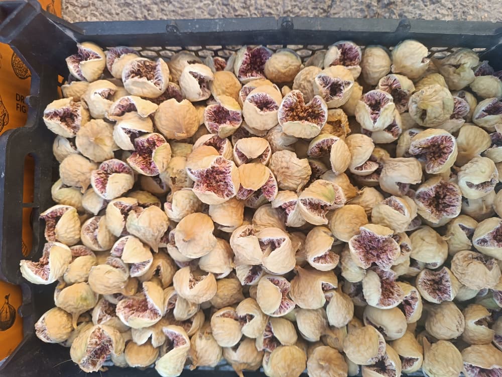 تصویر 1 از خرید انجیر پرک + قیمت روز